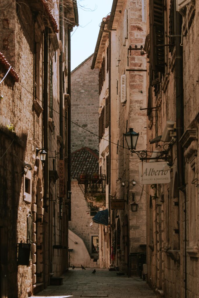 pexels-sabinakallari-11630478